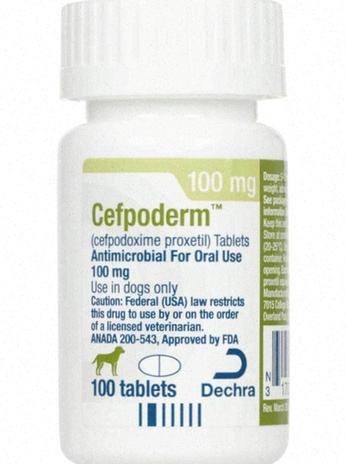 cefpodoxime