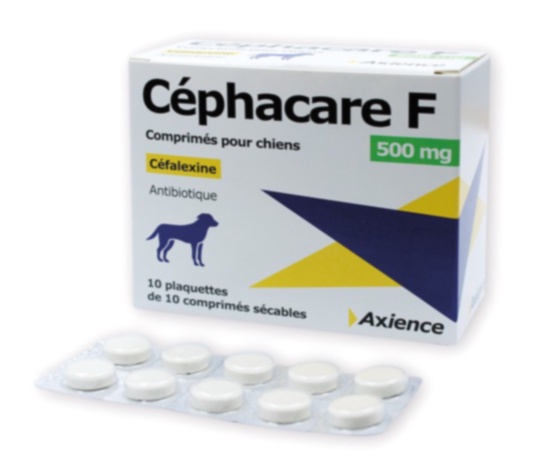 cephalexin
